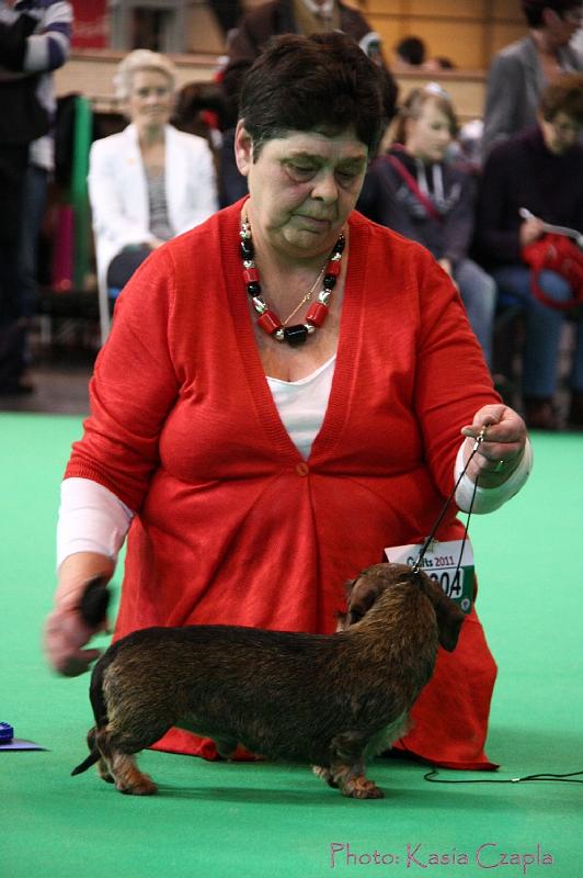 Crufts2011_2 931.jpg